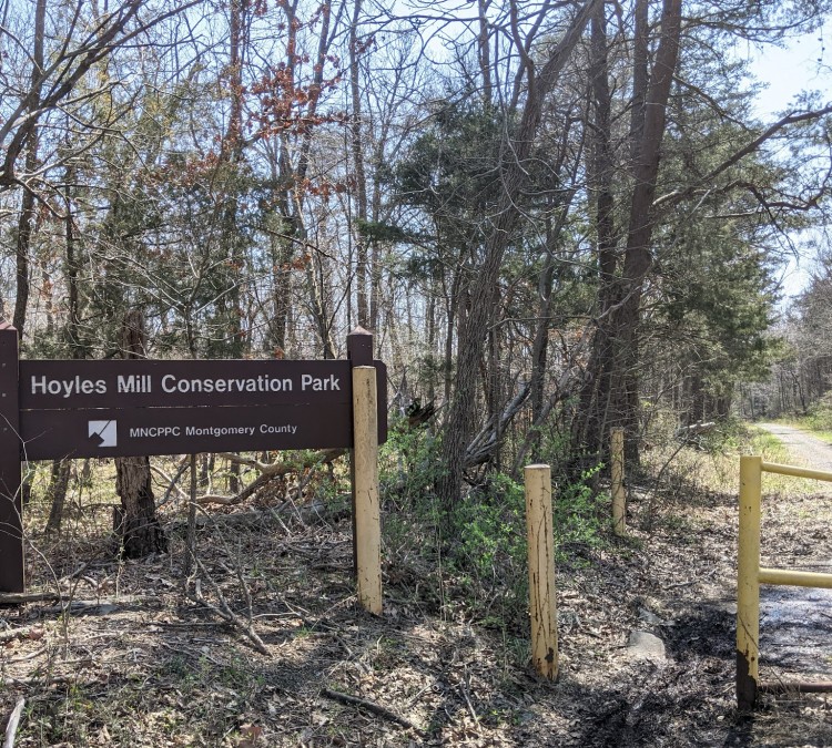 Hoyles Mill Conservation Park (Boyds,&nbspMD)